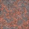 Variation 4