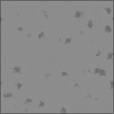 Bump Map