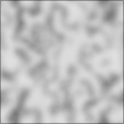 Bump Map