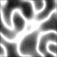 Bump Map