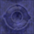 Diffuse Map