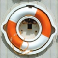 Fisheye Lens