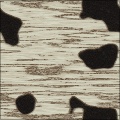 Birch Tree Bark