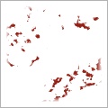 Blood Splats