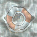 Water reflection