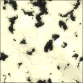 Roquefort