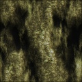 Bark