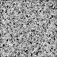 Bump Map