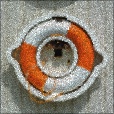 Variation 8