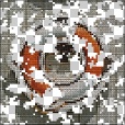 Variation 4