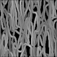 Bump Map