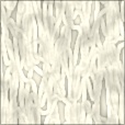 Diffuse Map