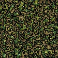 CamoGel
