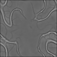 Bump Map
