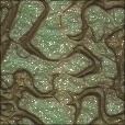 Variation 4