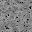 Bump Map