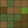 Variation 7