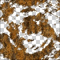 Rust