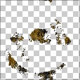 Variation 5