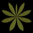 Variation 3