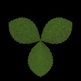 Variation 4