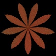 Variation 7