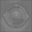 Bump Map