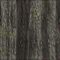 Nature Textures