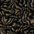 Metal Guts