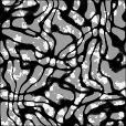 SpecStrength Map