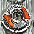 Variation 5