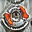 Variation 6