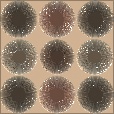 Variation 7