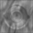 Bump Map