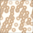 Diffuse Map