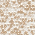 Variation 4