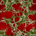 Abstract thornbush