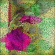 Variation 4
