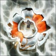 Diffuse Map