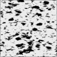 Bump Map