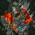 Variation 7