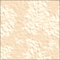 Paint and Stucco