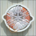 Snow crystal
