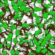 Variation 3