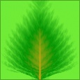 Diffuse Map