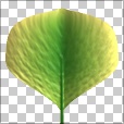 Variation 2