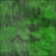 Diffuse Map