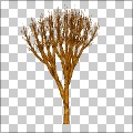 Tree, winter