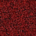 Erythrocytes (Red Blood Cells)