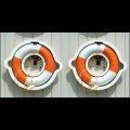 Stereoscope